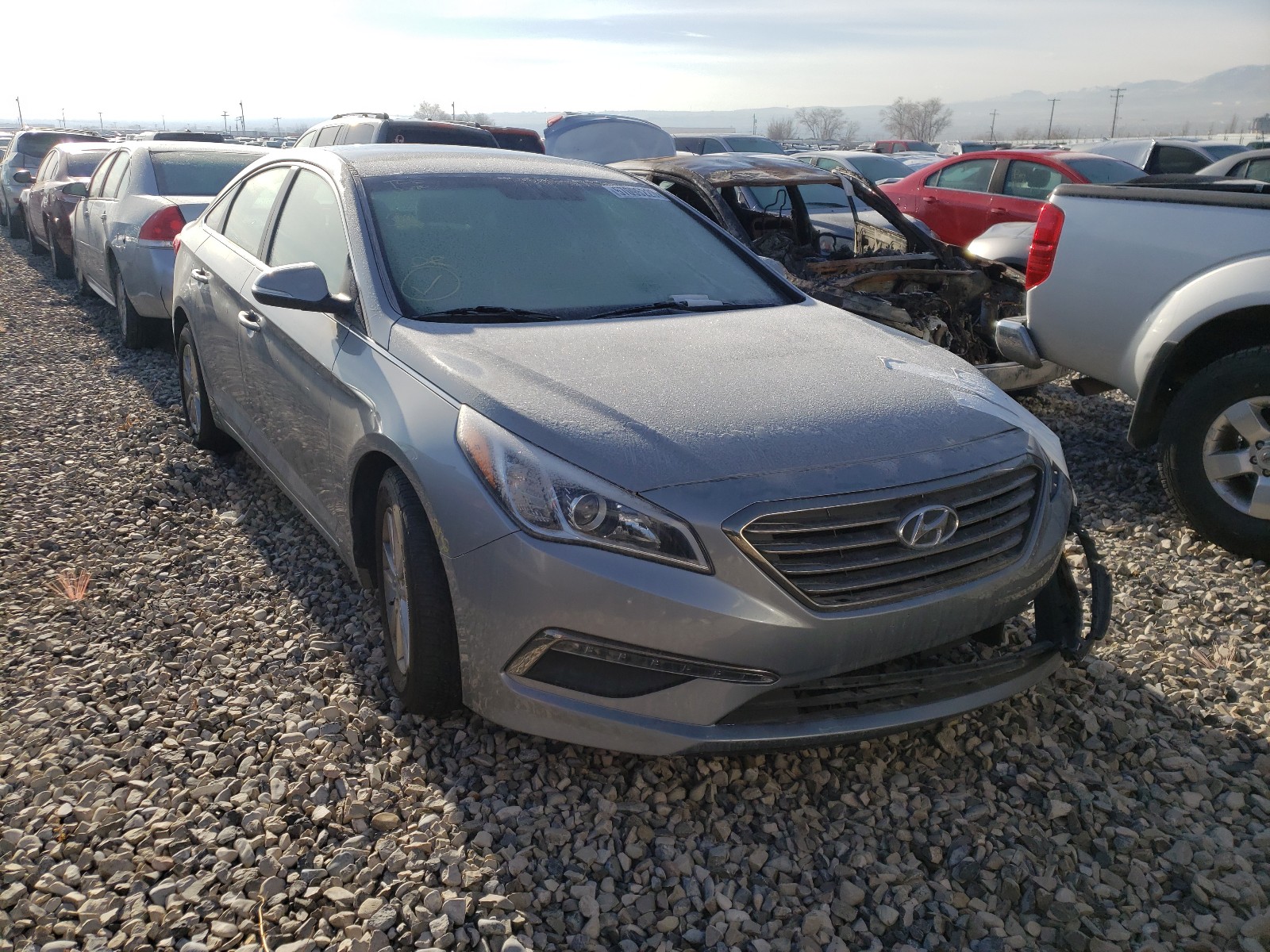 HYUNDAI SONATA ECO 2015 5npe24aa1fh115331