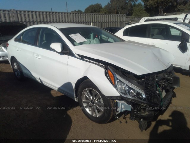 HYUNDAI SONATA 2016 5npe24aa1gh409264