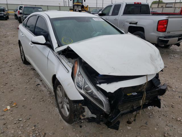 HYUNDAI SONATA ECO 2016 5npe24aa1gh411855