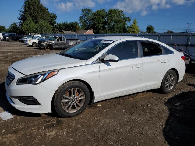 HYUNDAI SONATA 2016 5npe24aa1gh423844