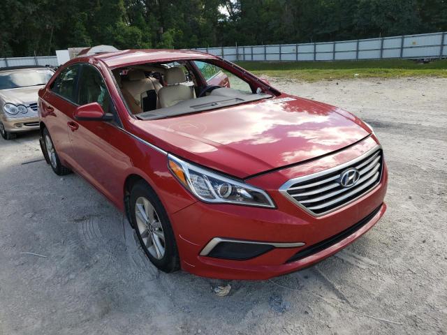 HYUNDAI SONATA ECO 2017 5npe24aa1hh448437