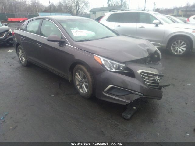 HYUNDAI SONATA 2017 5npe24aa1hh468770