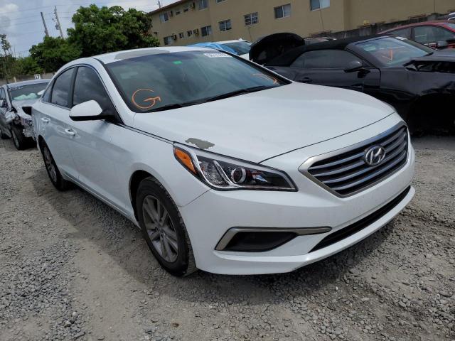 HYUNDAI SONATA ECO 2017 5npe24aa1hh495709