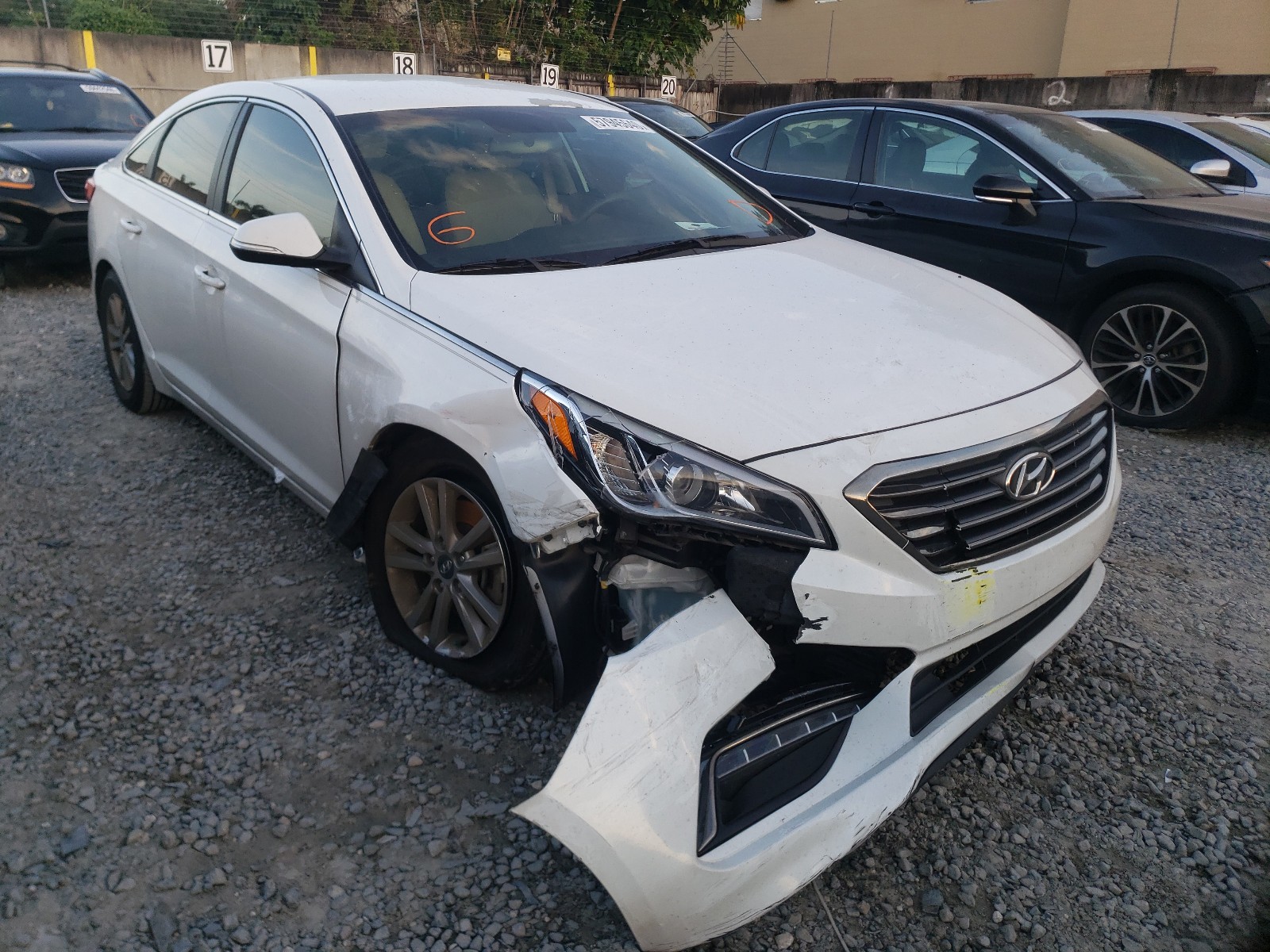 HYUNDAI SONATA ECO 2015 5npe24aa2fh115449