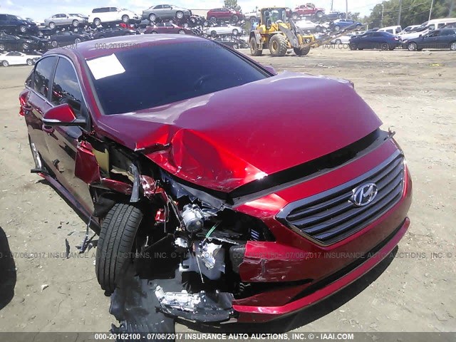 HYUNDAI SONATA 2016 5npe24aa2gh429149