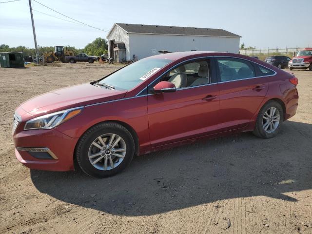 HYUNDAI SONATA ECO 2016 5npe24aa2gh435484