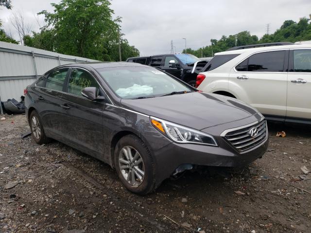 HYUNDAI SONATA ECO 2015 5npe24aa3fh158942