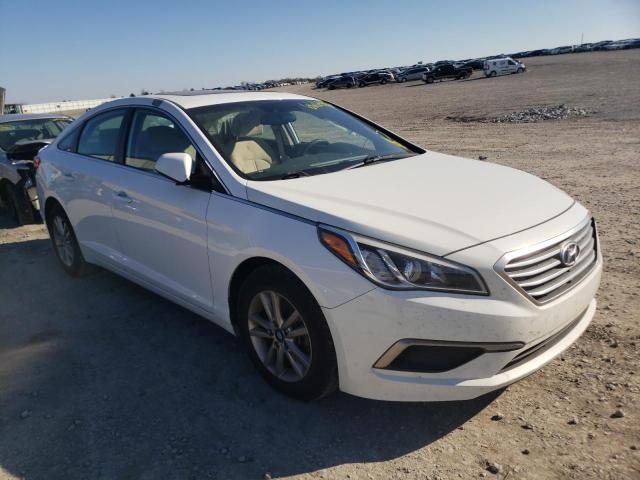 HYUNDAI SONATA ECO 2017 5npe24aa3hh440808