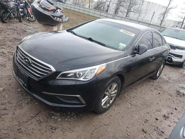 HYUNDAI SONATA 2017 5npe24aa3hh464672