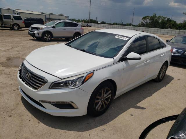 HYUNDAI SONATA ECO 2015 5npe24aa4fh129983