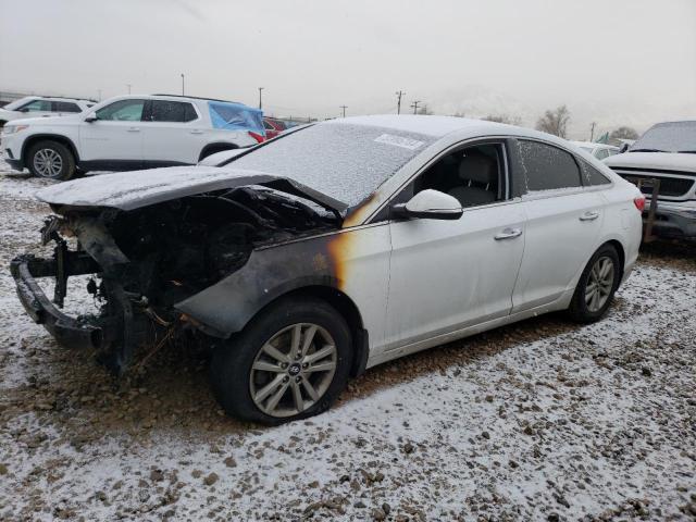 HYUNDAI SONATA 2015 5npe24aa4fh173854