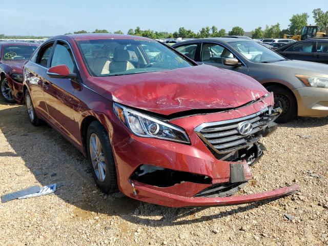 HYUNDAI SONATA ECO 2016 5npe24aa4gh354485