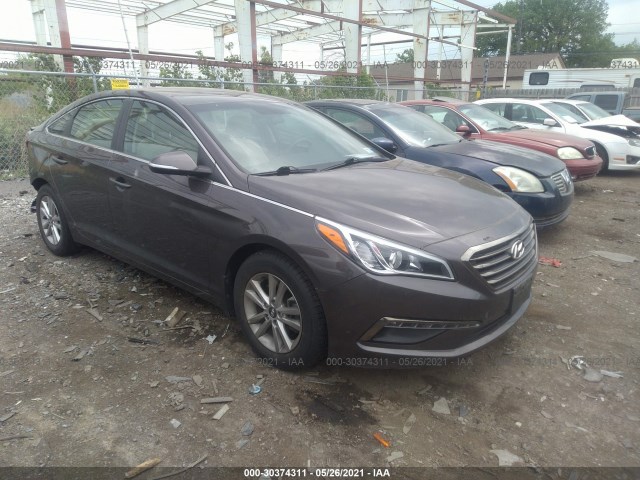 HYUNDAI SONATA 2016 5npe24aa4gh424339