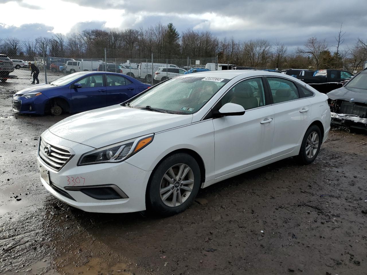 HYUNDAI SONATA 2017 5npe24aa4hh441188