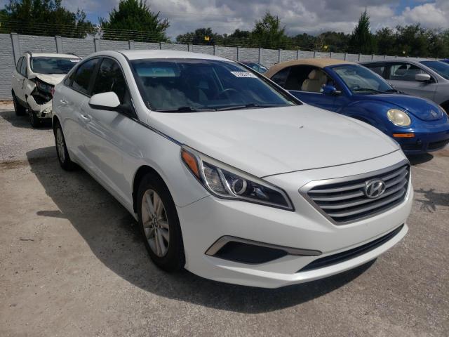 HYUNDAI SONATA ECO 2017 5npe24aa4hh449453