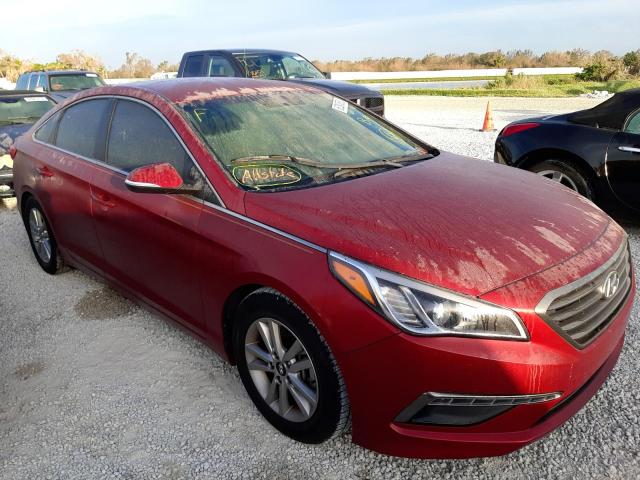 HYUNDAI SONATA ECO 2015 5npe24aa5fh134304