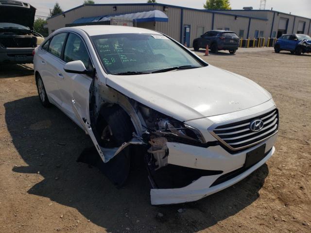 HYUNDAI SONATA ECO 2017 5npe24aa5hh468559