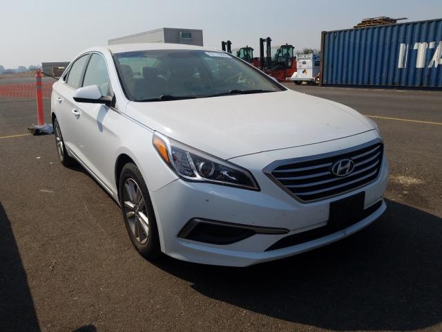 HYUNDAI SONATA ECO 2017 5npe24aa5hh496085