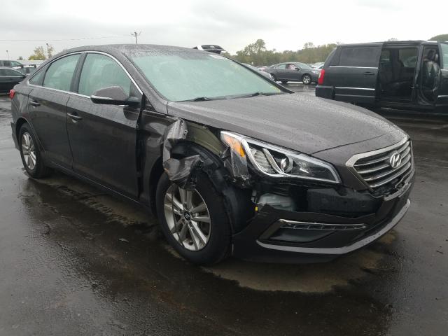 HYUNDAI SONATA ECO 2015 5npe24aa6fh135302