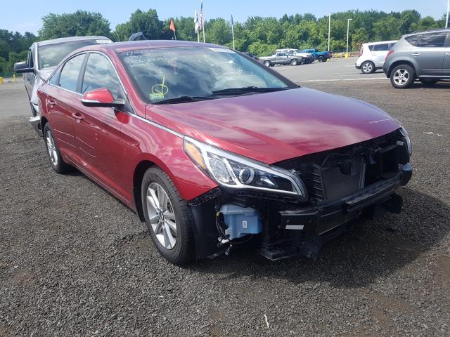 HYUNDAI SONATA ECO 2016 5npe24aa6gh417814