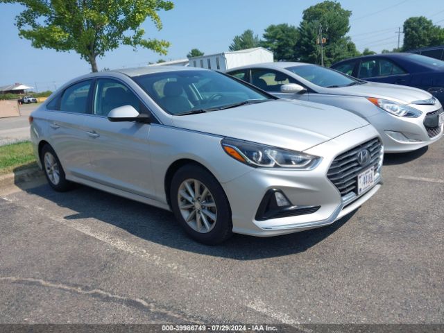 HYUNDAI SONATA 2019 5npe24aa6kh775438