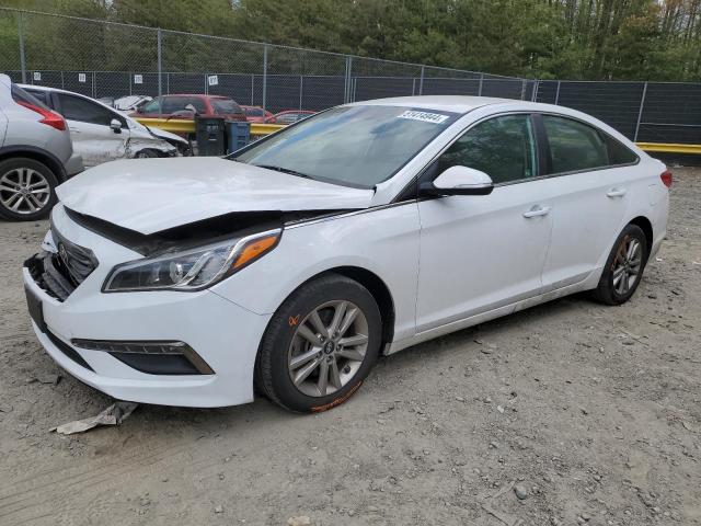 HYUNDAI SONATA 2015 5npe24aa7fh147779