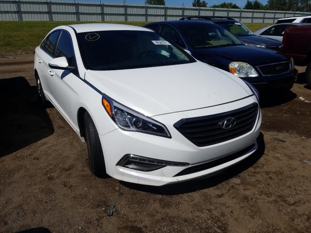 HYUNDAI SONATA ECO 2016 5npe24aa7gh379333