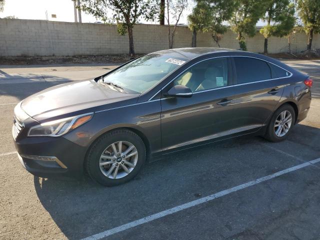 HYUNDAI SONATA ECO 2016 5npe24aa7gh435884