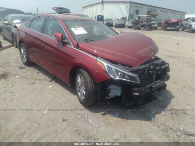 HYUNDAI SONATA 2016 5npe24aa8gh430712