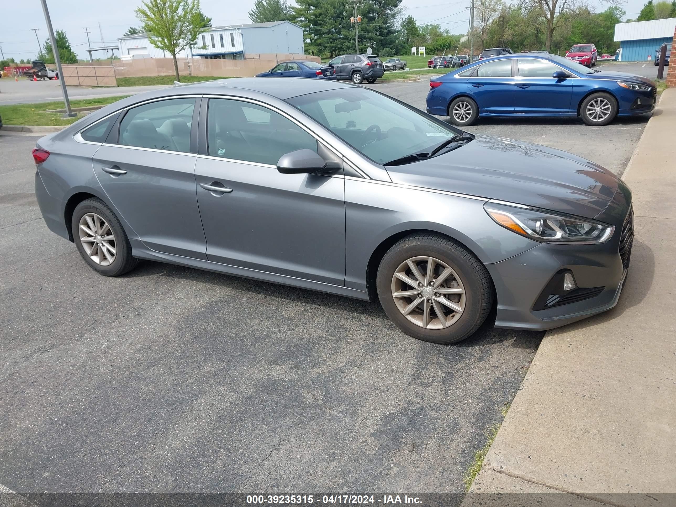 HYUNDAI SONATA 2019 5npe24aa8kh774873