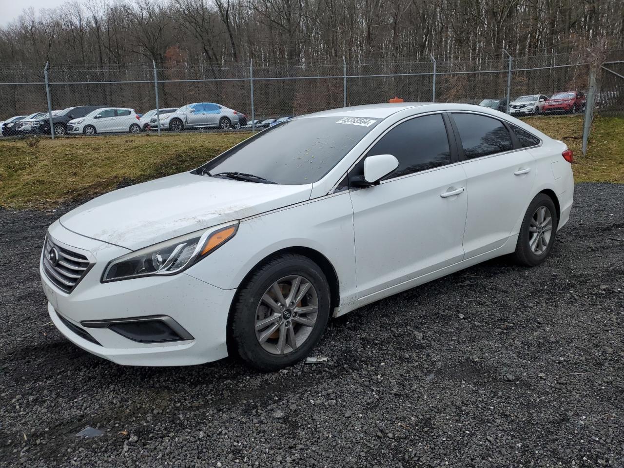 HYUNDAI SONATA 2017 5npe24aa9hh449089