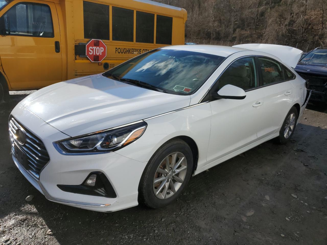 HYUNDAI SONATA 2018 5npe24aa9jh712512