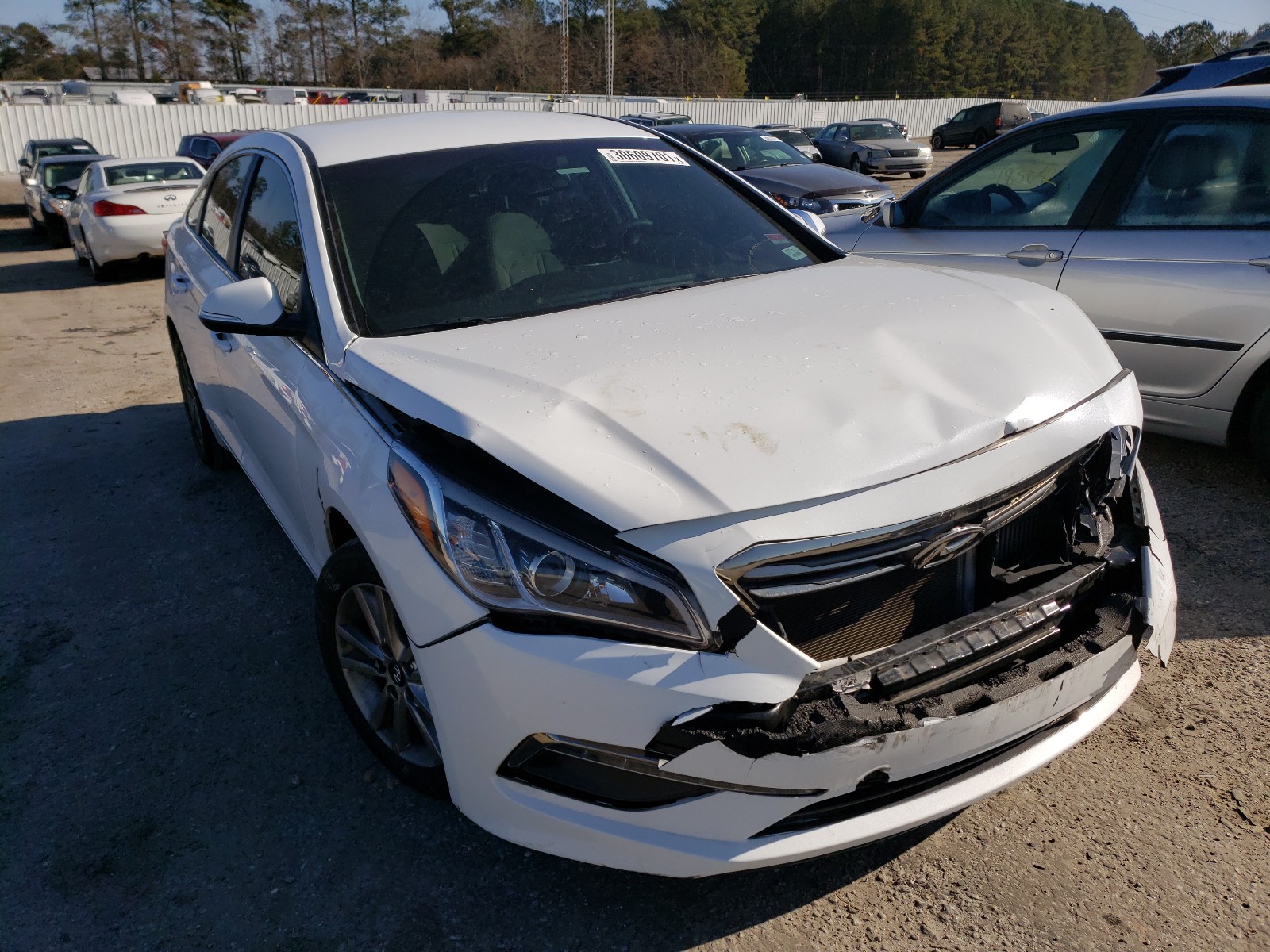 HYUNDAI SONATA ECO 2015 5npe24aaxfh113335