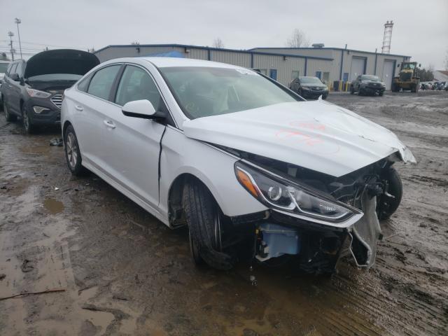 HYUNDAI SONATA ECO 2018 5npe24aaxjh680041