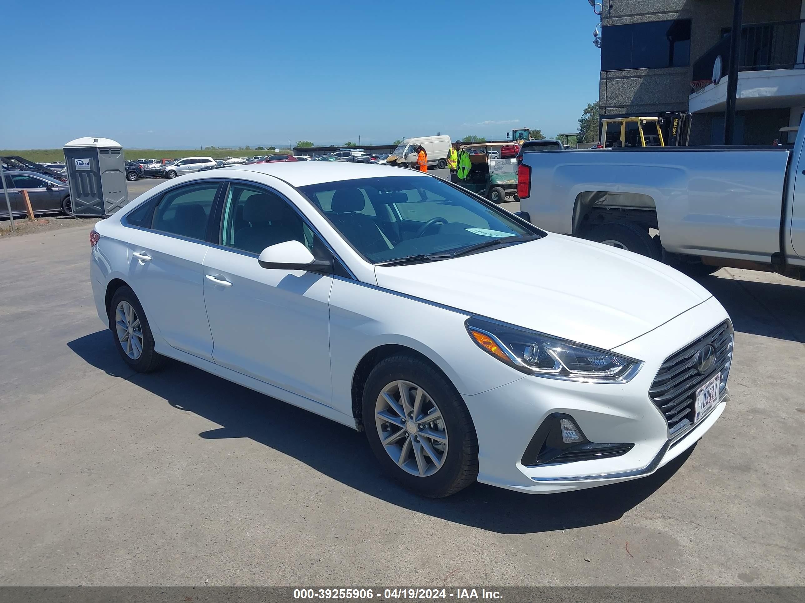 HYUNDAI SONATA 2019 5npe24aaxkh774616