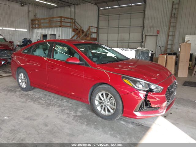 HYUNDAI SONATA 2019 5npe24aaxkh802205