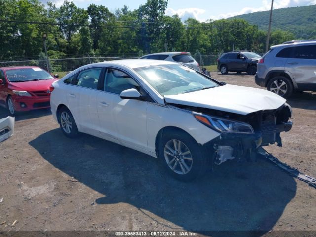 HYUNDAI SONATA 2015 5npe24af0fh010565