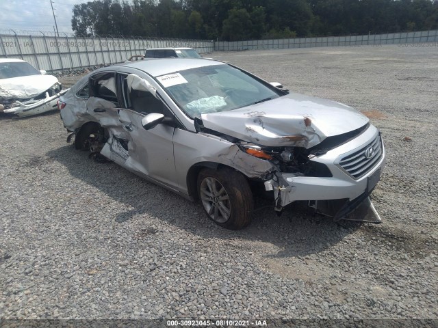 HYUNDAI SONATA 2015 5npe24af0fh026264