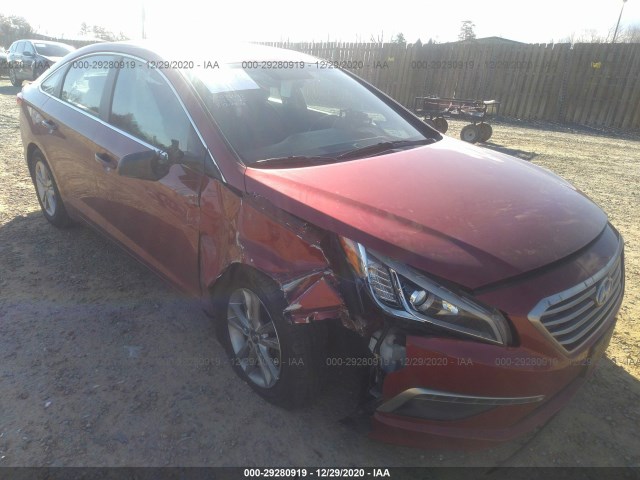 HYUNDAI SONATA 2015 5npe24af0fh086495