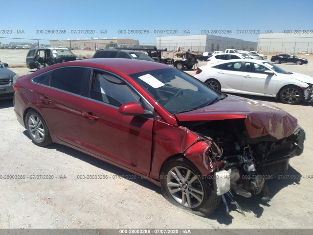 HYUNDAI SONATA 2015 5npe24af0fh118524