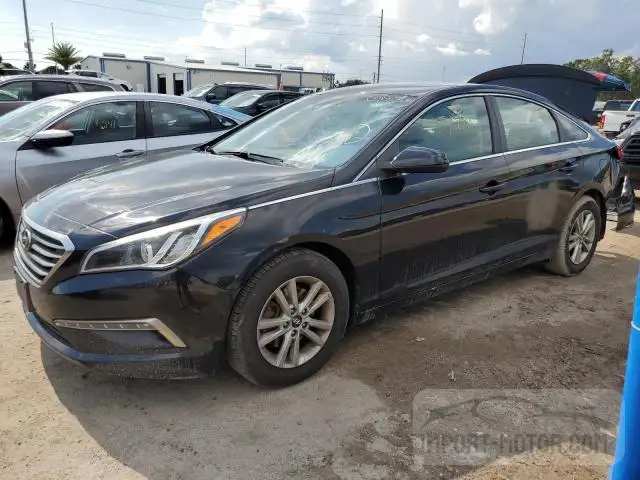 HYUNDAI SONATA 2015 5npe24af0fh122248