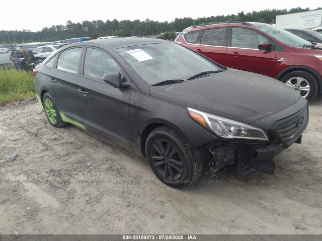 HYUNDAI SONATA 2015 5npe24af0fh124324