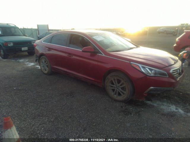 HYUNDAI SONATA 2015 5npe24af0fh137056