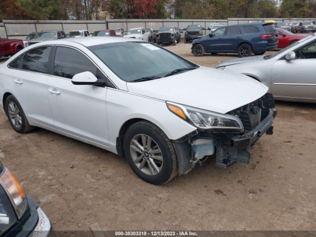 HYUNDAI SONATA 2015 5npe24af0fh143021