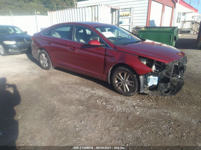 HYUNDAI SONATA 2015 5npe24af0fh162734