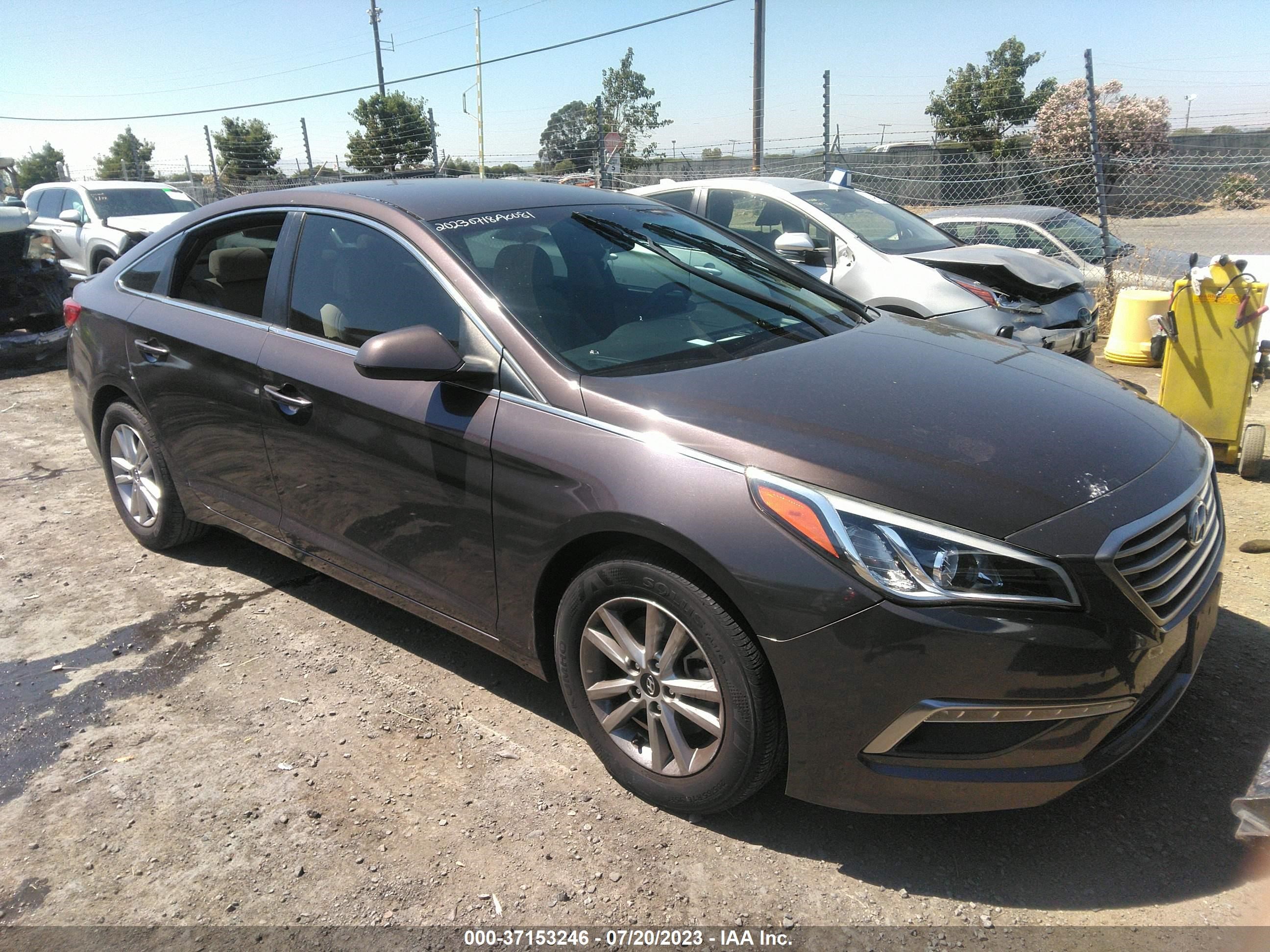 HYUNDAI SONATA 2015 5npe24af0fh167531