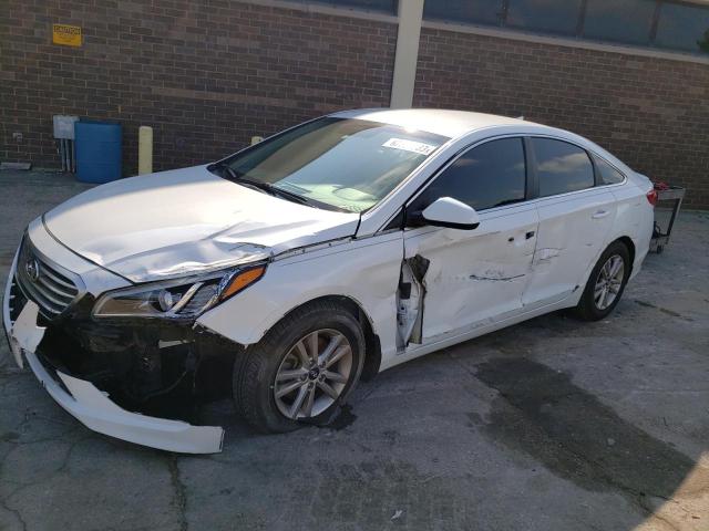 HYUNDAI SONATA SE 2015 5npe24af0fh173250