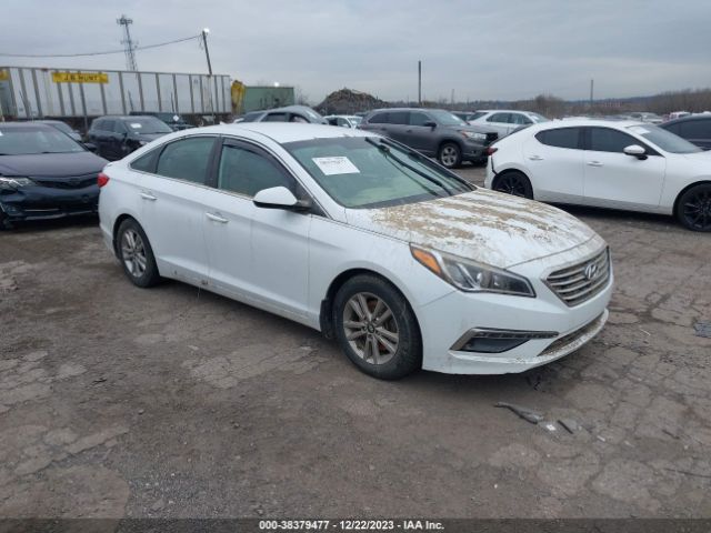 HYUNDAI SONATA 2015 5npe24af0fh187407