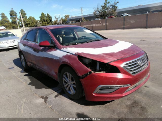 HYUNDAI SONATA 2015 5npe24af0fh189772