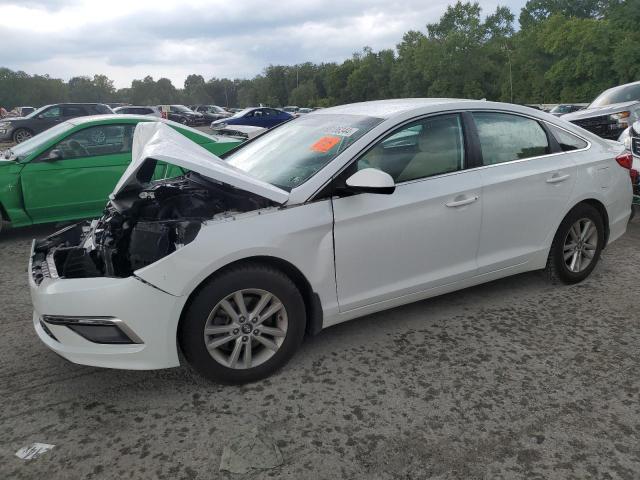 HYUNDAI SONATA SE 2015 5npe24af0fh201208